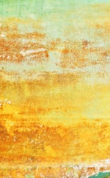 Maisie by Daniel Tidbury thumbnail