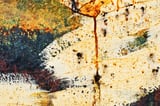Zara by Daniel Tidbury thumbnail