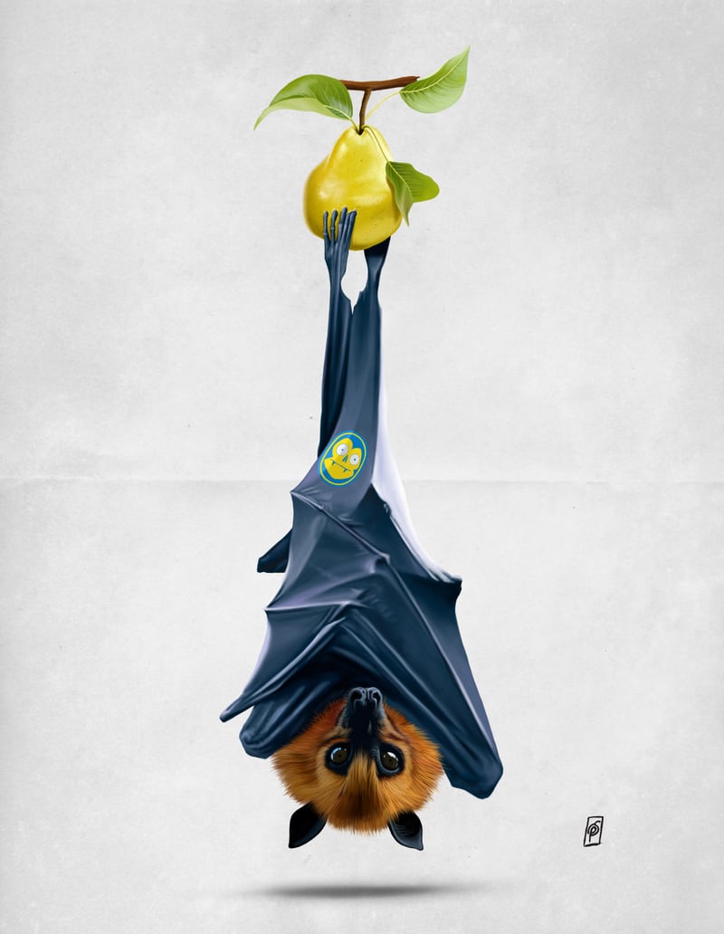 Peared (Wordless) by Rob Snow