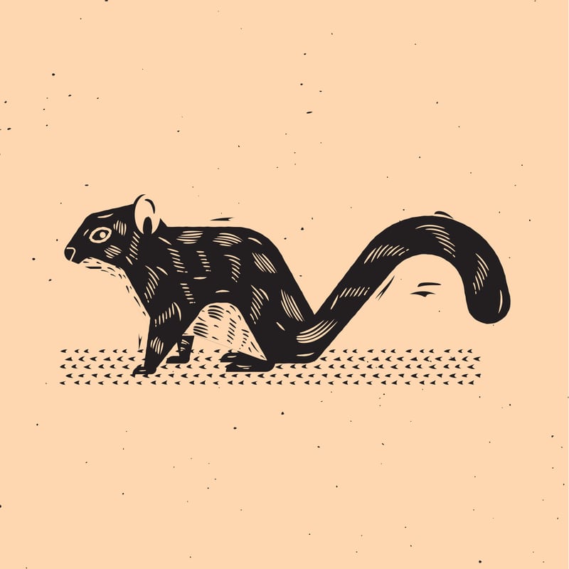Squirrel by Vision Globe Design