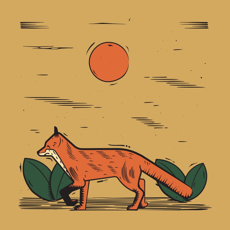 Fox by Vision Globe Design