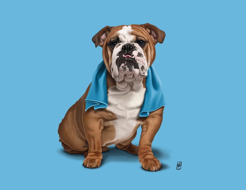 Bull (Colour) by Rob Snow