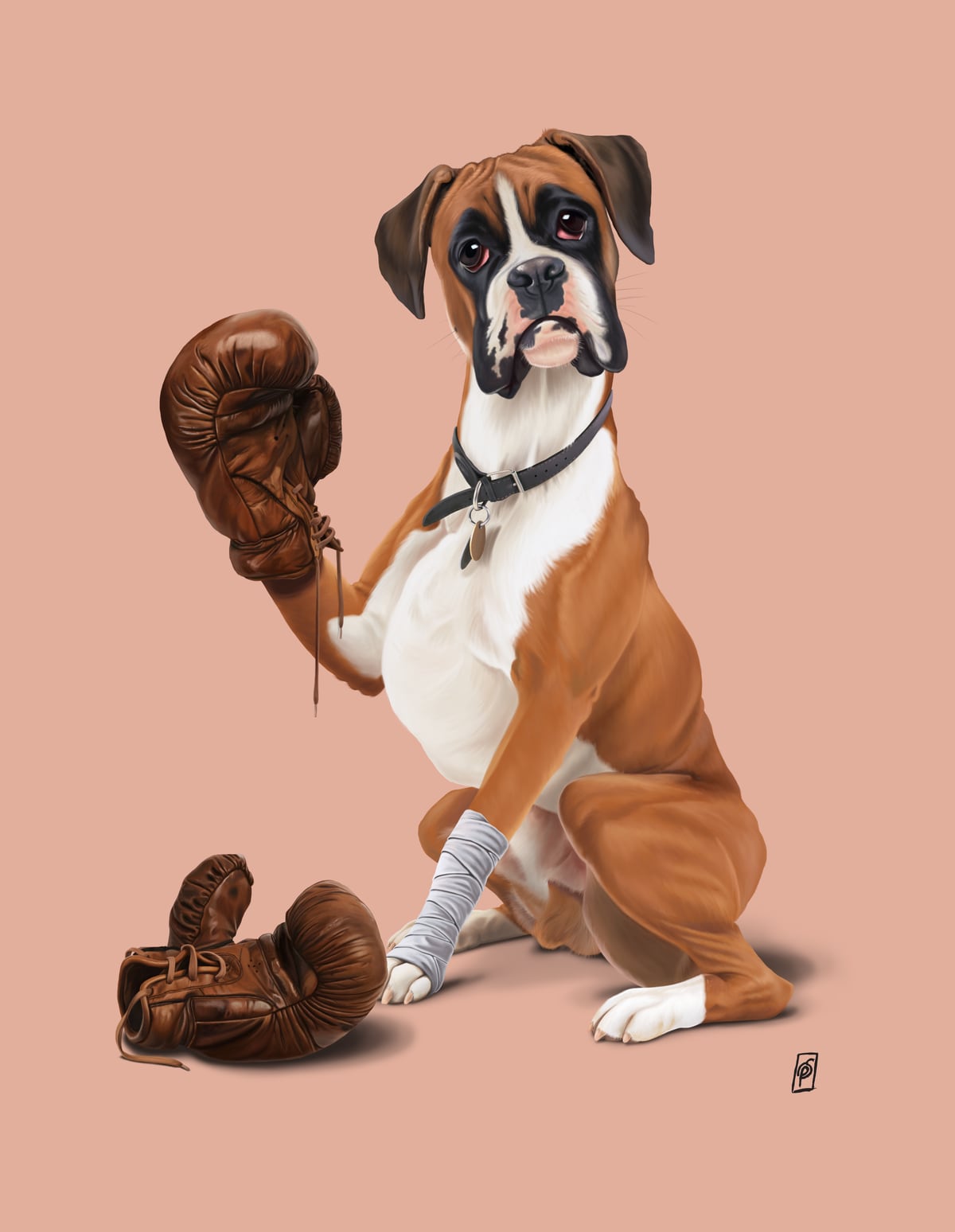 The Boxer (Colour) by Rob Snow