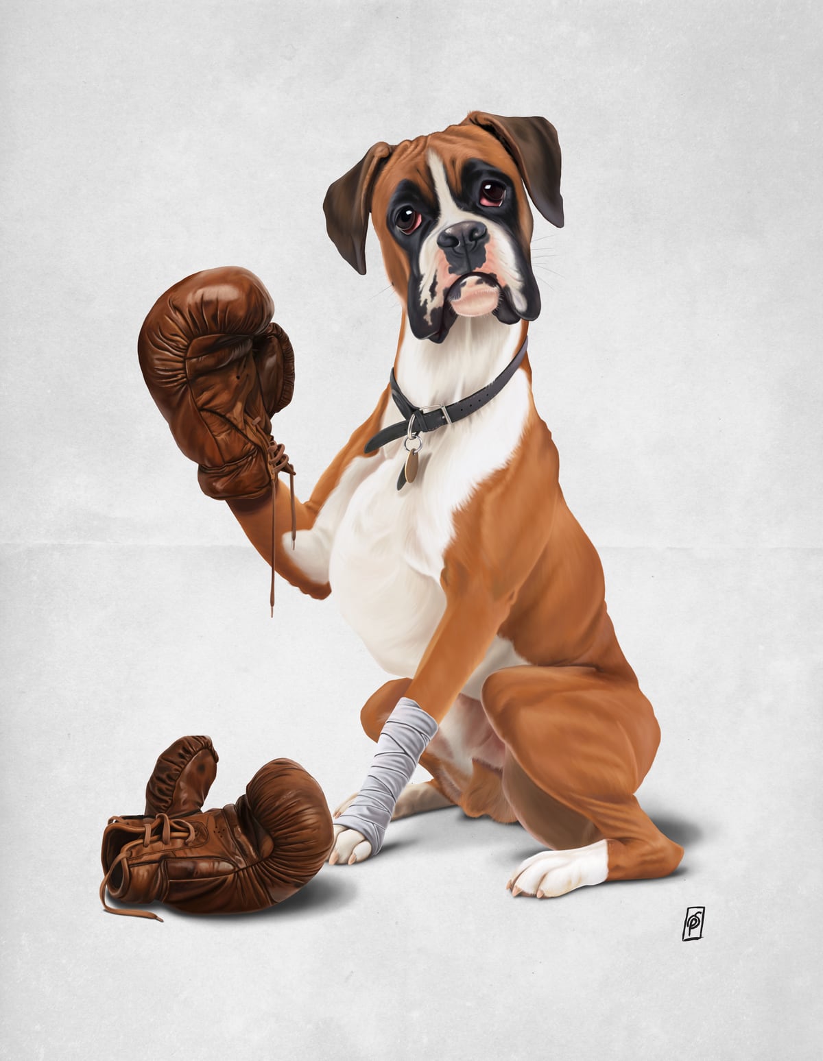 The Boxer (Wordless) by Rob Snow