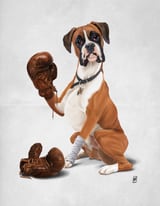 The Boxer (Wordless) by Rob Snow thumbnail