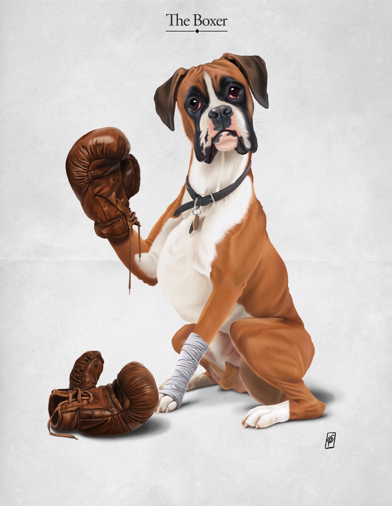 The Boxer by Rob Snow