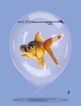 Inflated (Colour) by Rob Snow thumbnail