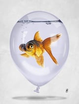 Inflated (Wordless) by Rob Snow thumbnail