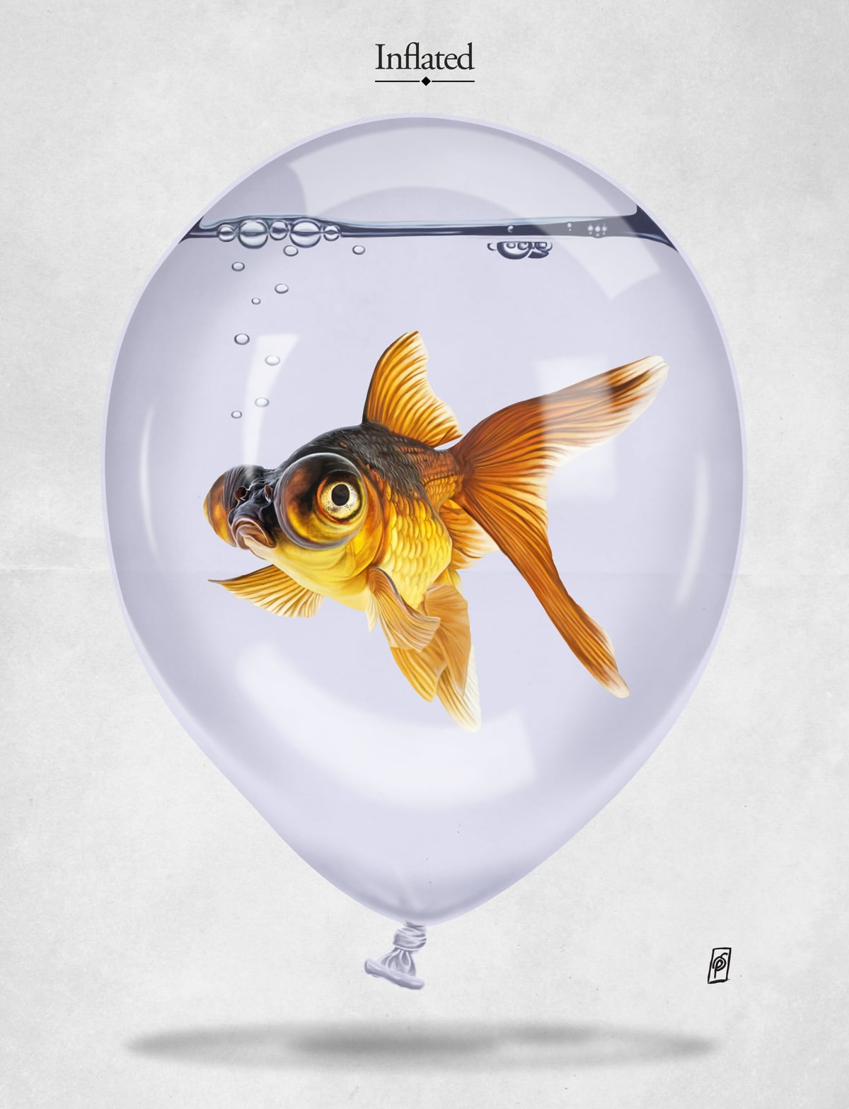 Inflated by Rob Snow