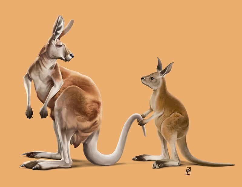 Being Tailed (Colour) by Rob Snow