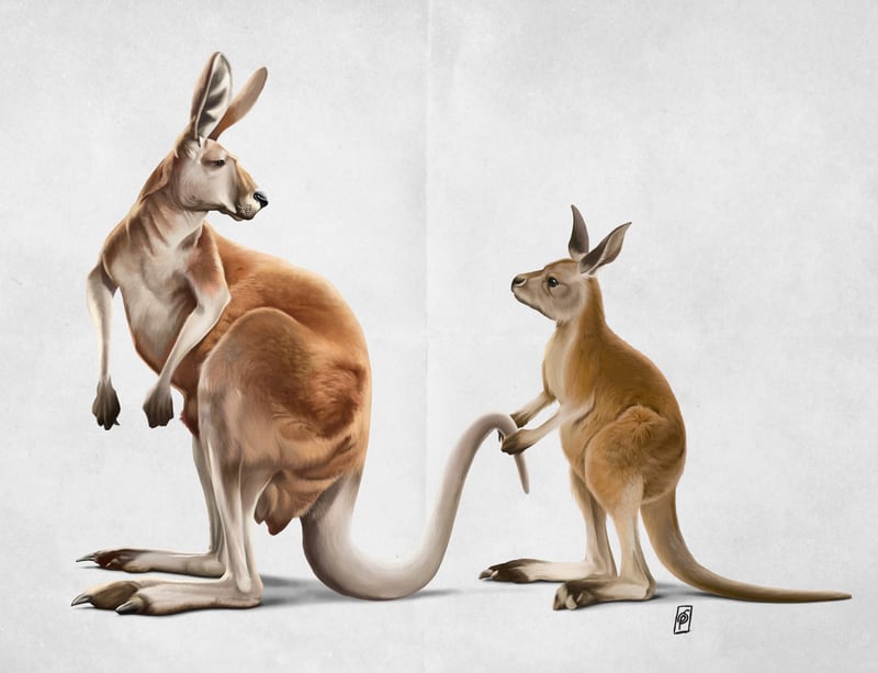 Being Tailed (Wordless) by Rob Snow