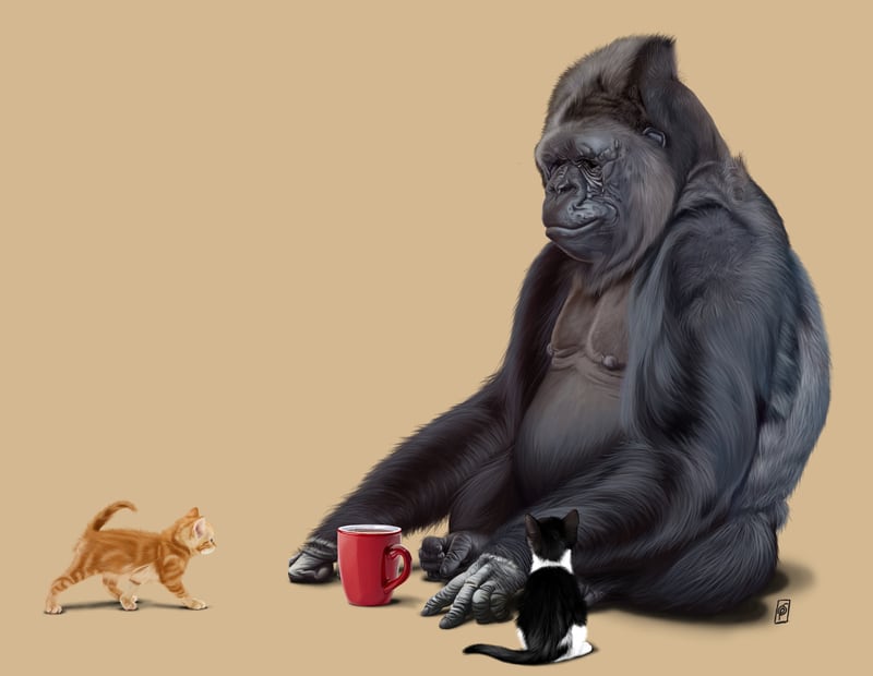 I Should Koko (Colour) by Rob Snow