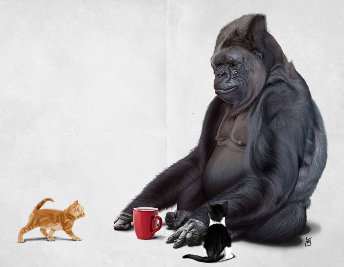 I Should Koko (Wordless) by Rob Snow