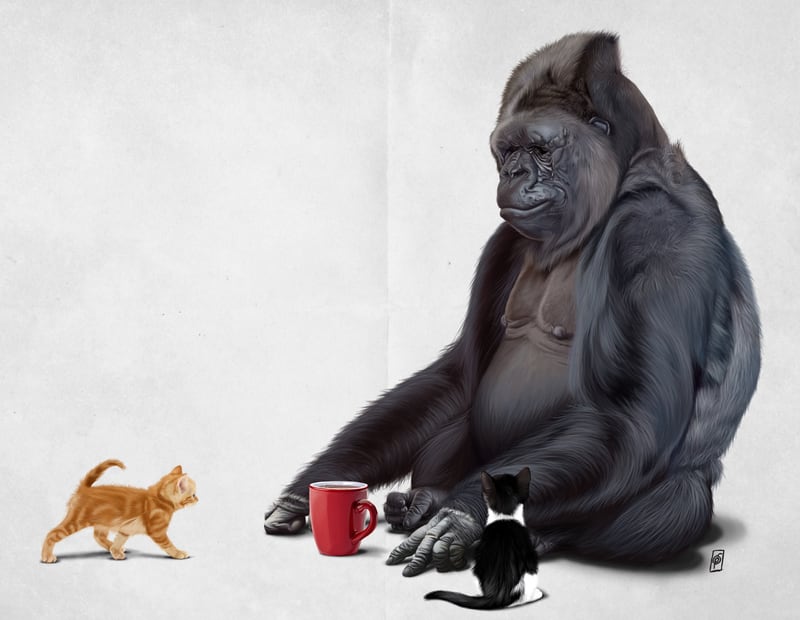 I Should Koko (Wordless) by Rob Snow