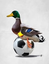 Fowl (Wordless) by Rob Snow thumbnail