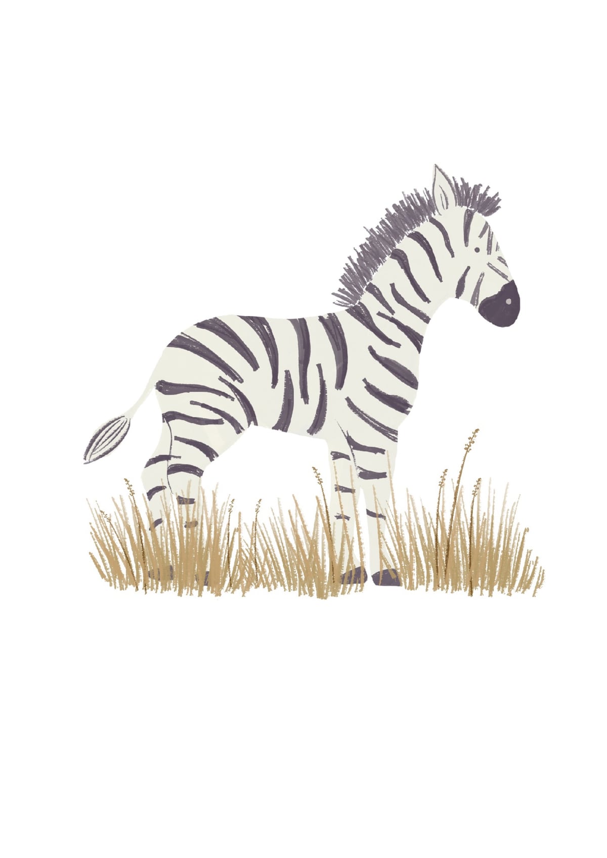 Zebra  by Indico Designs