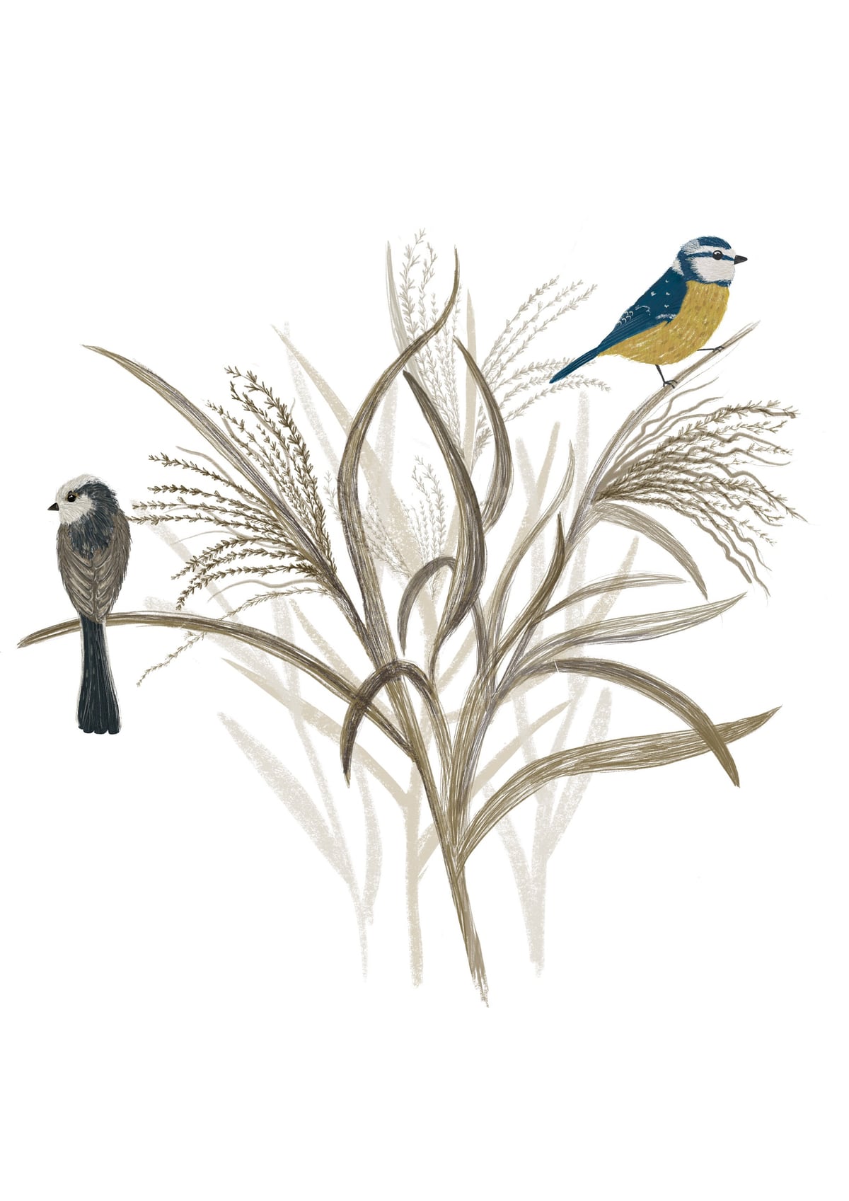 Garden Birds by Indico Designs