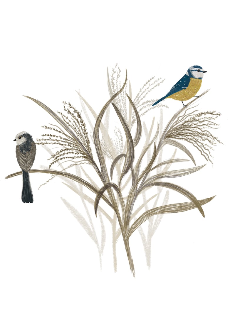 Garden Birds by Indico Designs