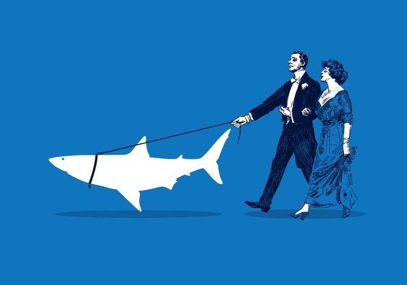Walking the Shark by Rob Snow