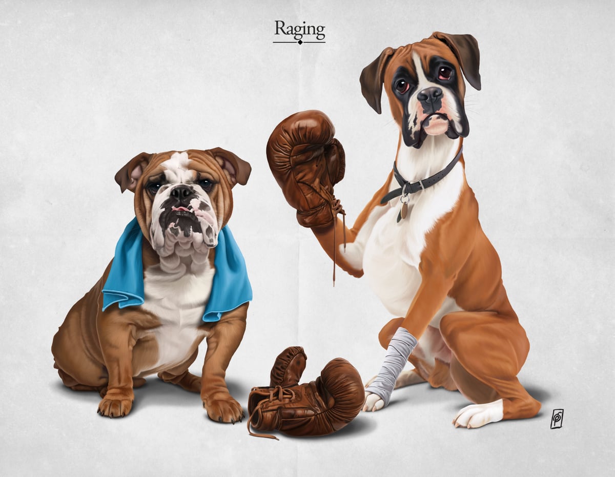 Raging by Rob Snow