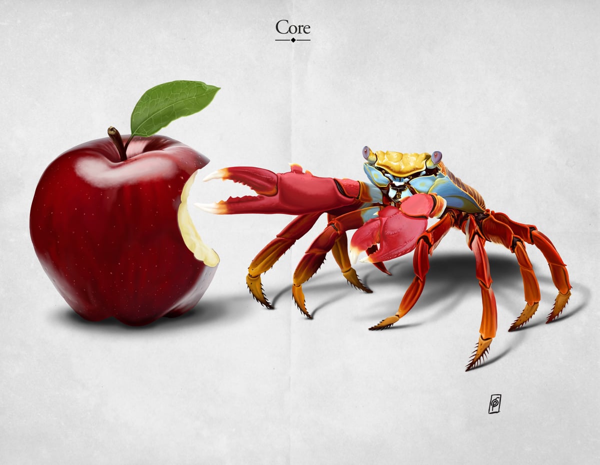 Core by Rob Snow