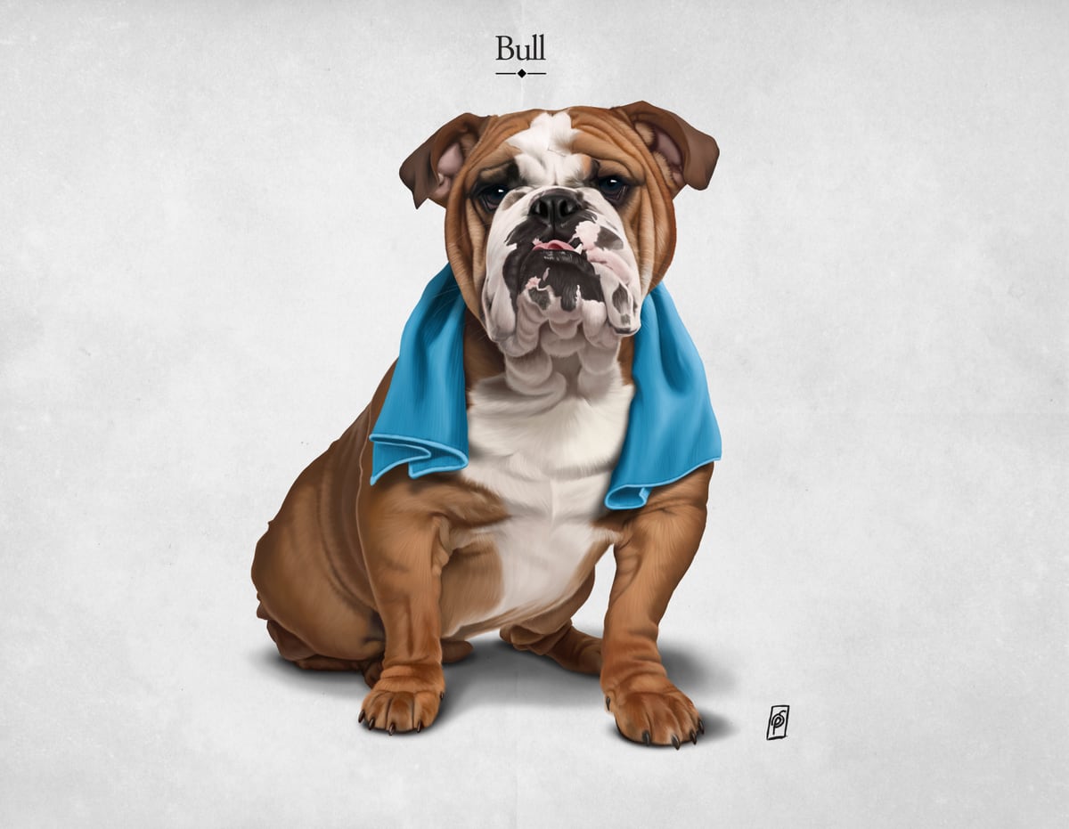 Bull by Rob Snow