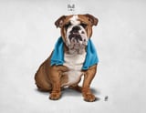 Bull by Rob Snow thumbnail
