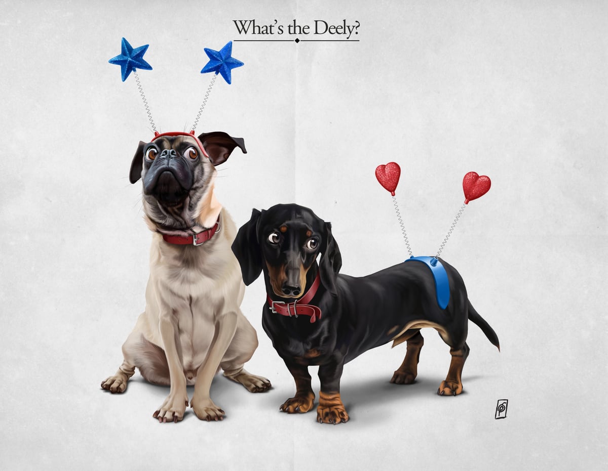 What's The Deely? by Rob Snow