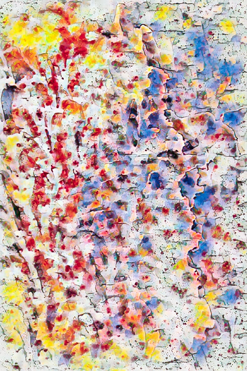 Carnival Fireworks by Denise Dundon