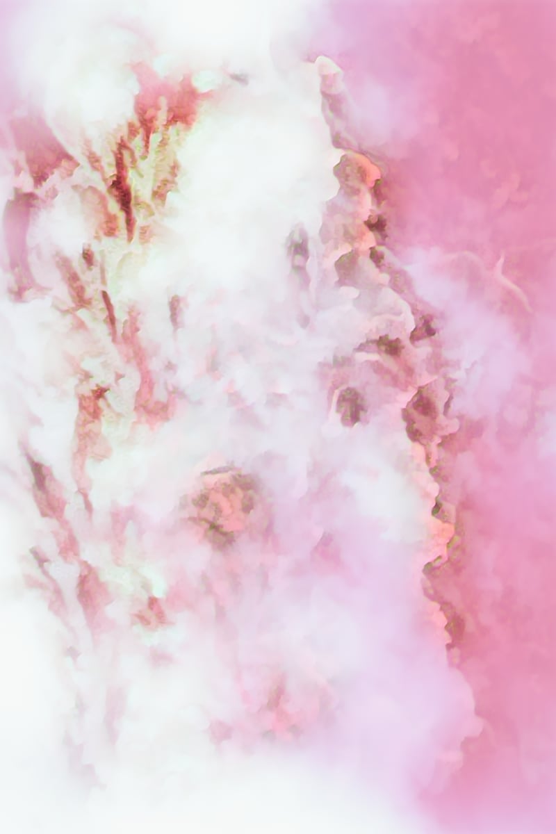 Dreaming of Roses by Denise Dundon