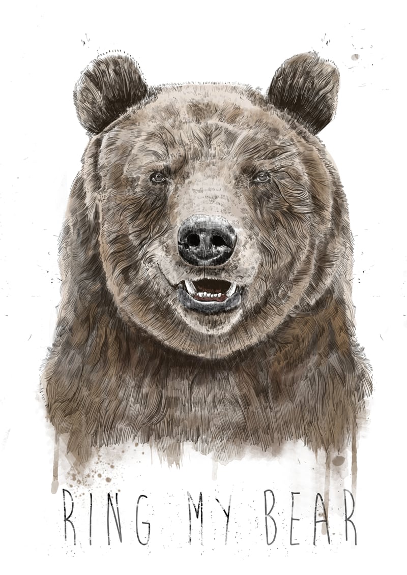 Ring My Bear by Balazs Solti