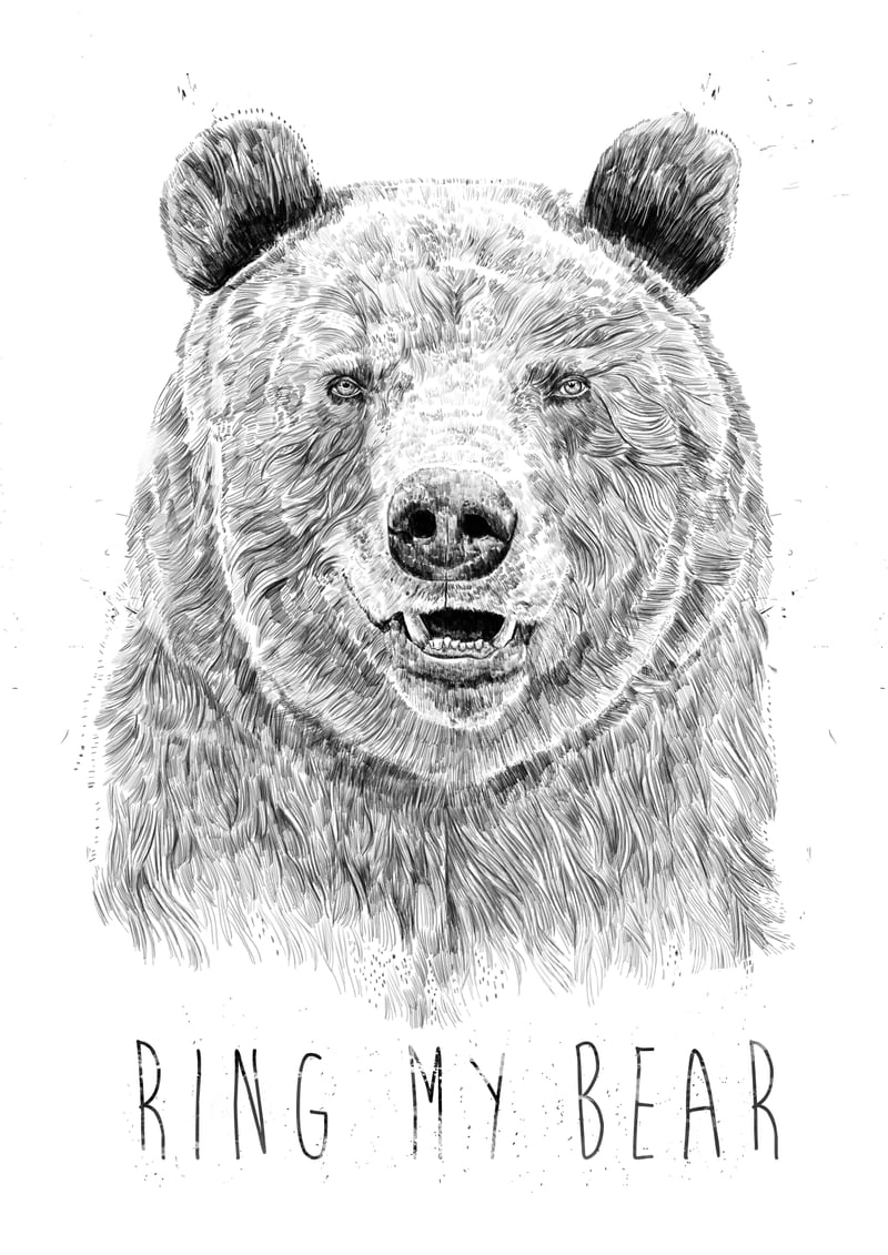 Ring My Bear (bw) by Balazs Solti
