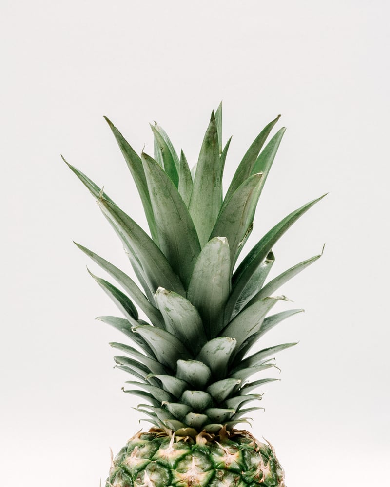 Pineapple Top by Michelle L Clement