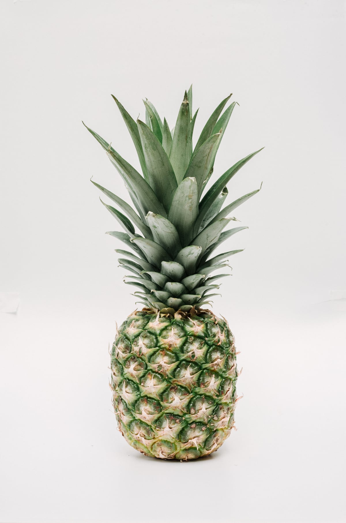 Pineapple by Michelle L Clement