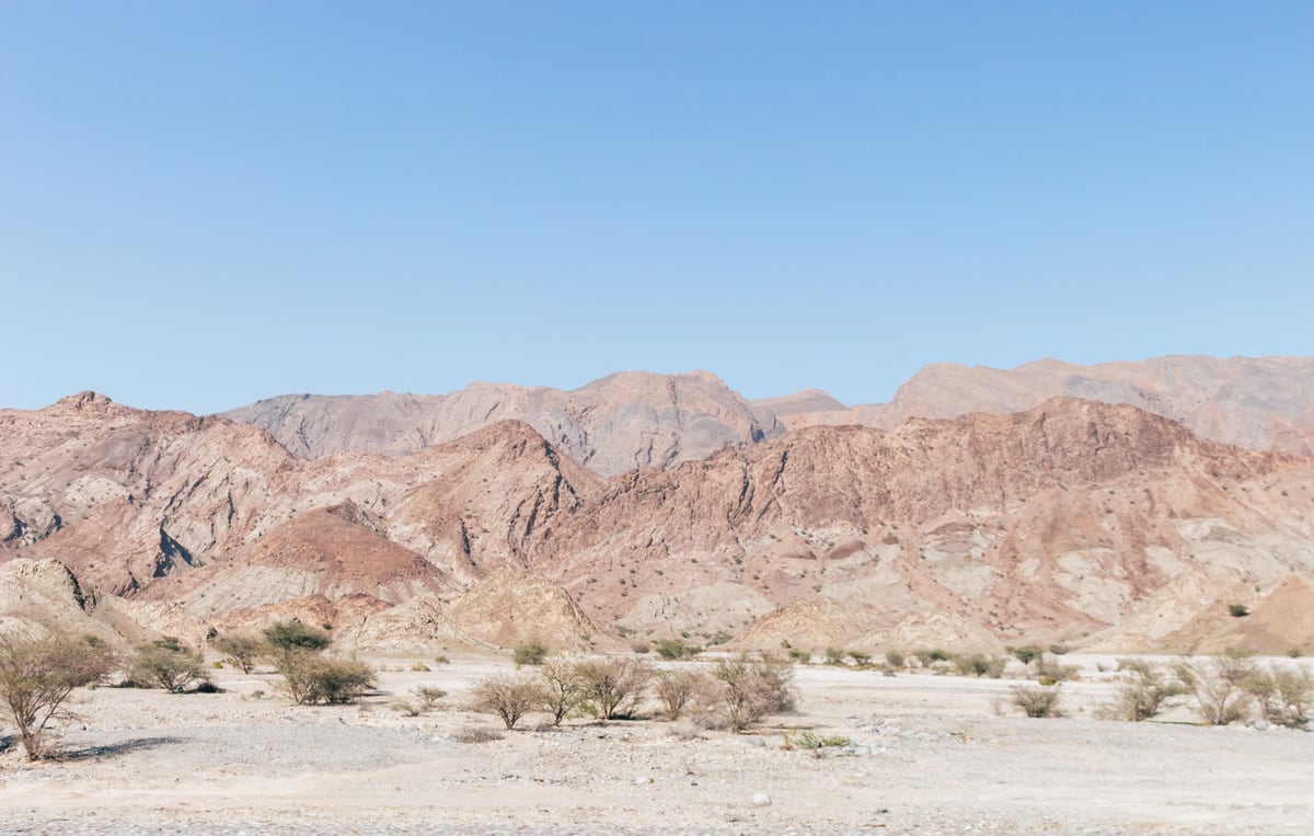Rocky Desert Road by Michelle L Clement