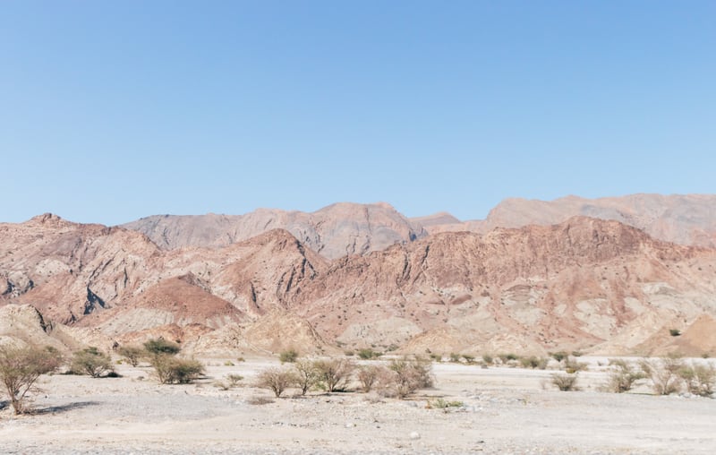 Rocky Desert Road by Michelle L Clement