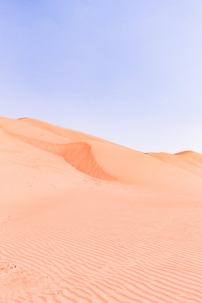 Sahara Desert Portrait by Michelle L Clement
