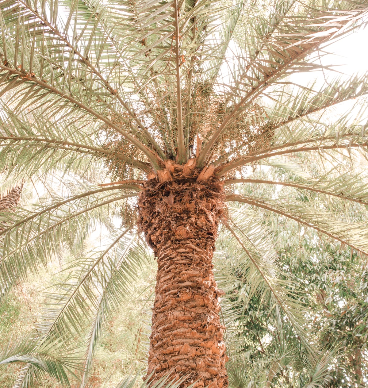 Tropical 2 by Michelle L Clement