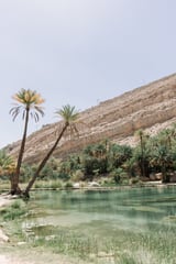 Tropical Oasis Portrait by Michelle L Clement thumbnail
