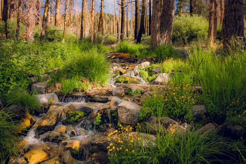 San Gorgonio Stream by Khalogram Creative