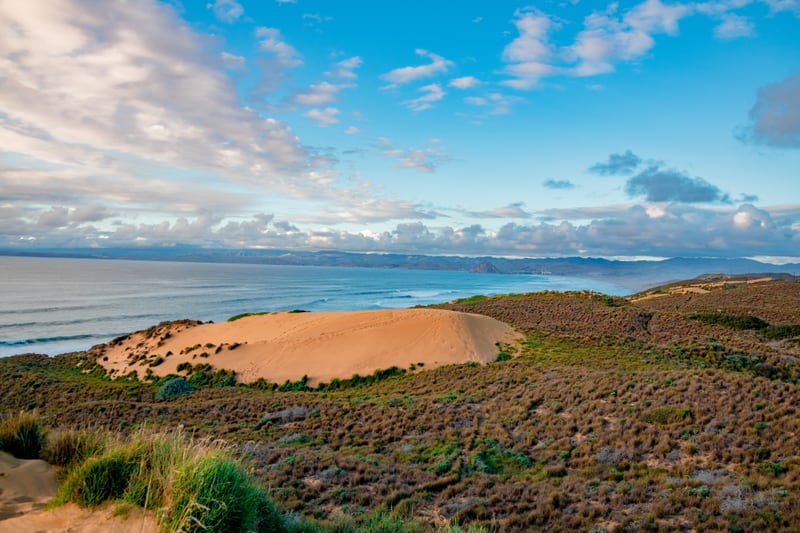 Coastal Sand Dune by Khalogram Creative