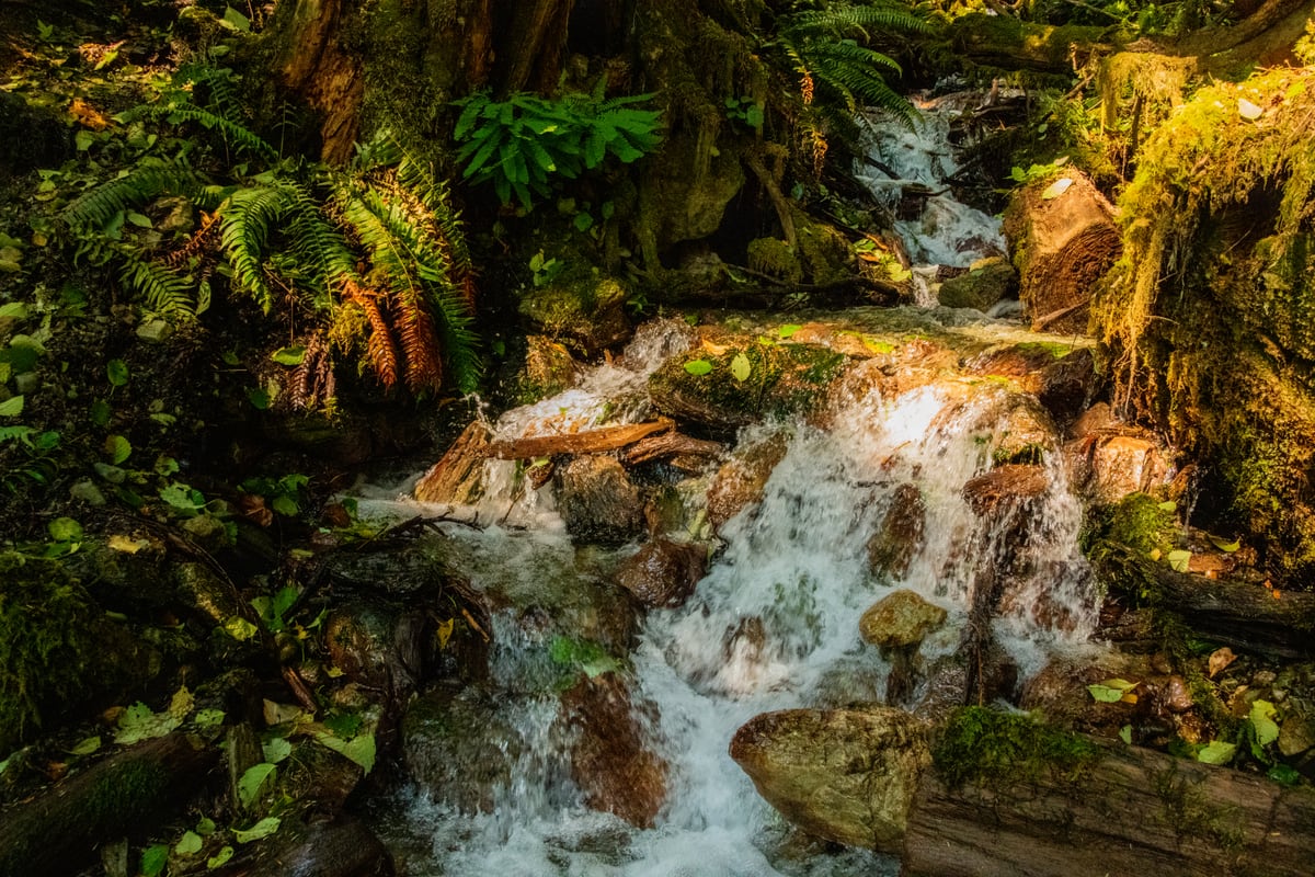 Baker Waterfall by Khalogram Creative