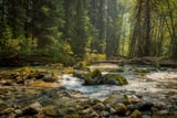 Cascade River by Khalogram Creative thumbnail