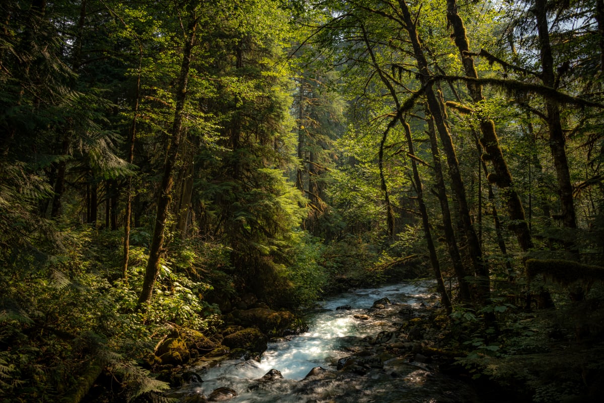 Cascade River by Khalogram Creative