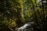 Cascade River by Khalogram Creative thumbnail