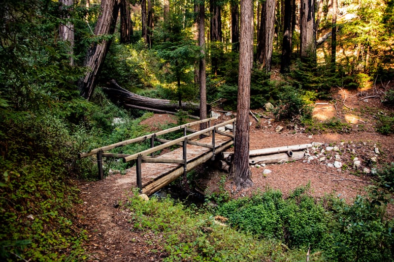 Ewoldsen Loop Bridge by Khalogram Creative