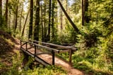 Ewoldsen Trail Bridge  by Khalogram Creative thumbnail