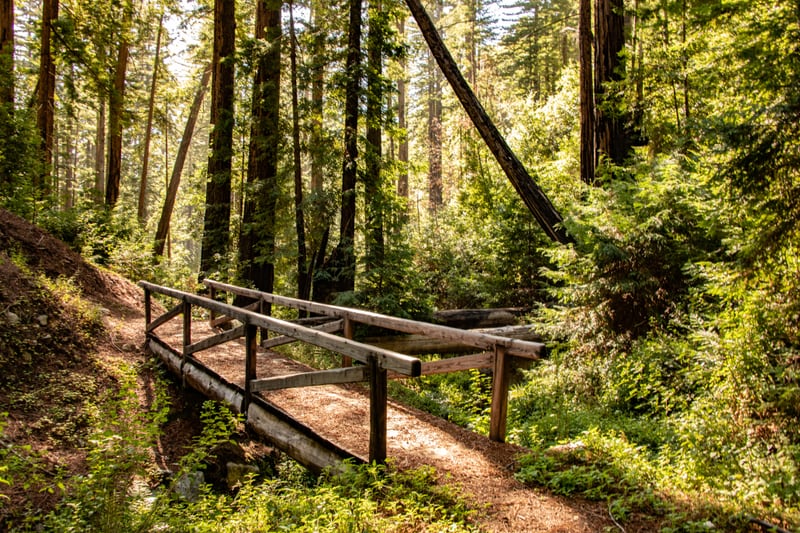 Ewoldsen Trail Bridge  by Khalogram Creative
