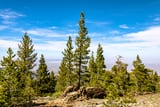 Pine Mountain by Khalogram Creative thumbnail