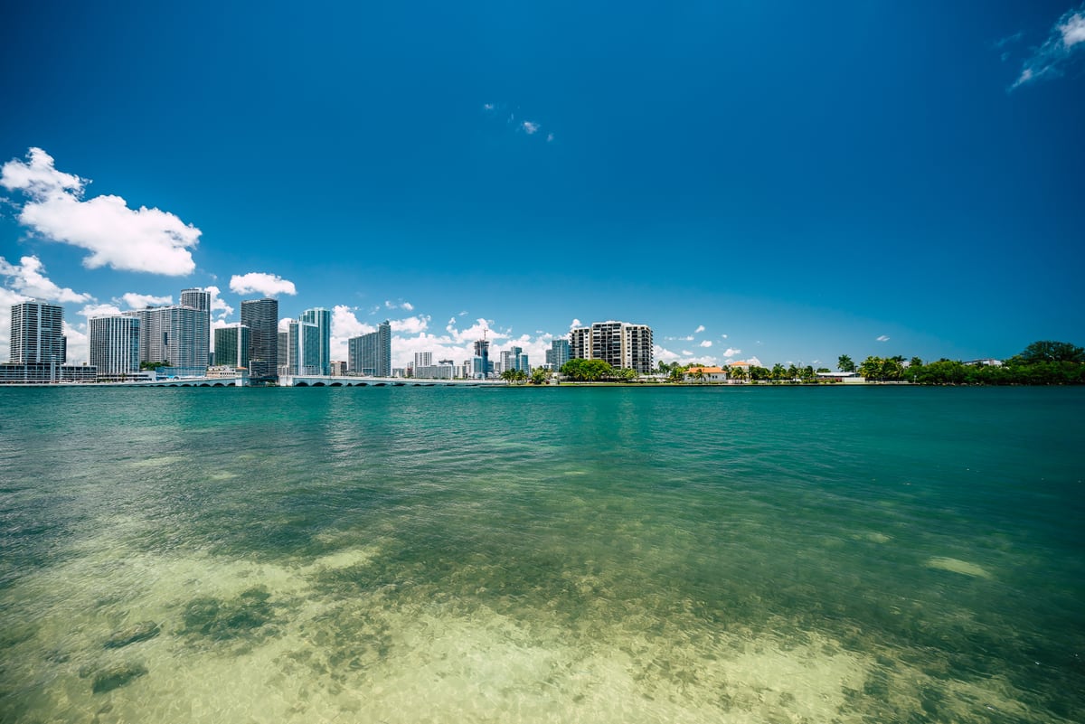 305 by SALTY RIVER